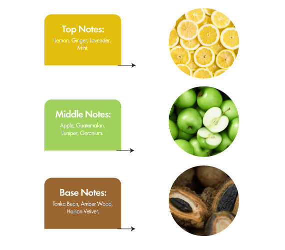 Imperium/Inspired by Azzaro Wanted