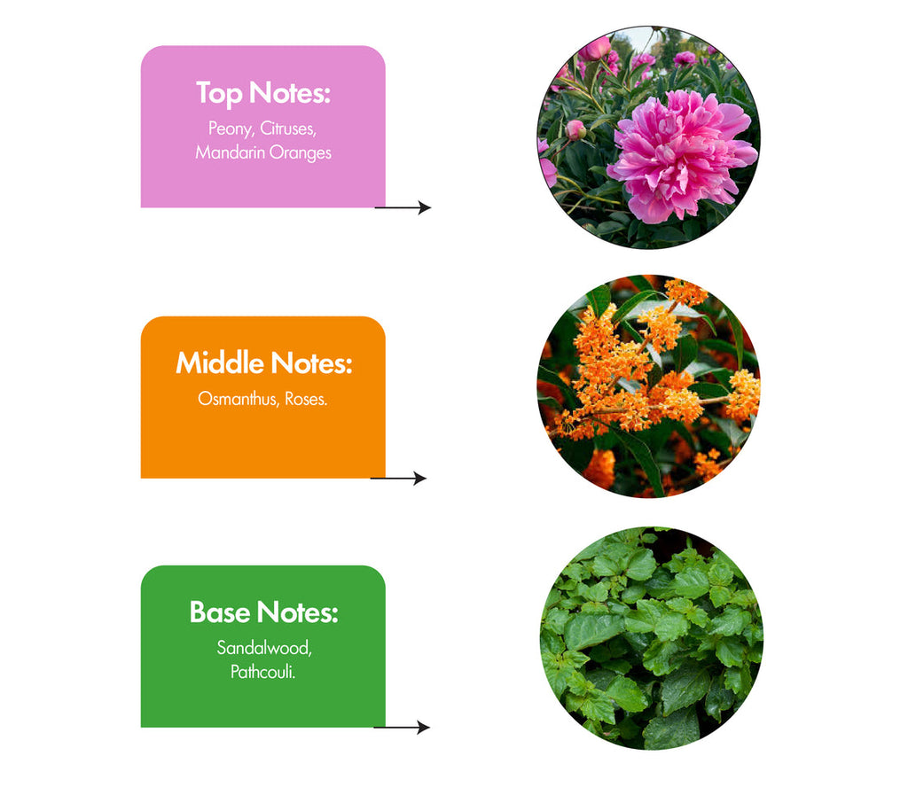 Fiora/Inspired by Gucci Flora