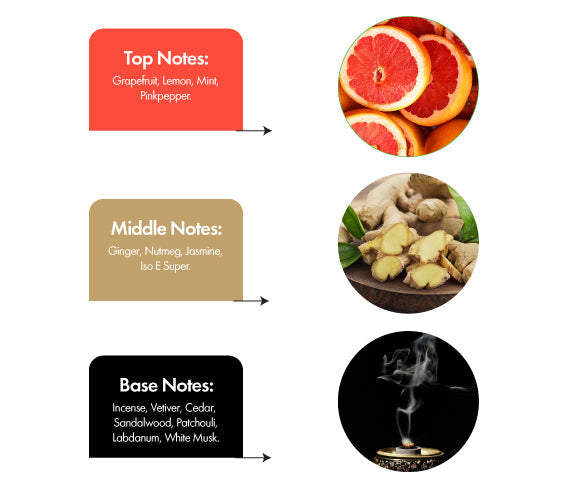 Blue Monarch/Inspired by Bleu De Chanel EDT